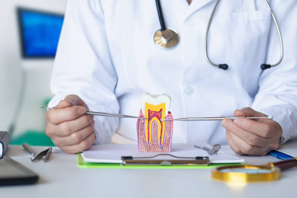 Best Emergency Tooth Extraction in Mount Vernon, TX